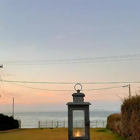 Dimitra 모우르테리