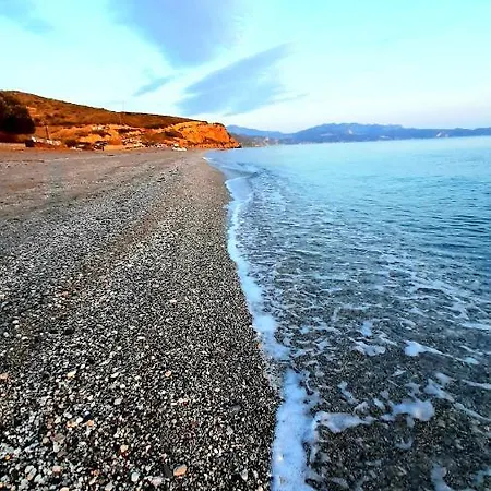 Dimitra *