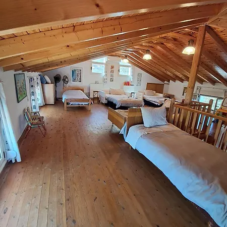 Dimitra 모우르테리