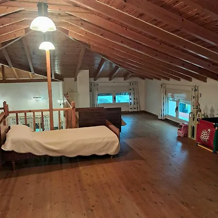 Dimitra 穆尔特里